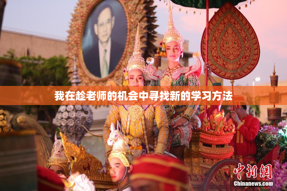 我在趁老师的机会中寻找新的学习方法