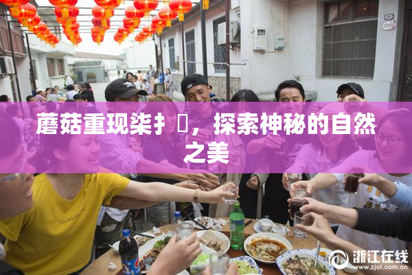 蘑菇重现柒扌畐，探索神秘的自然之美