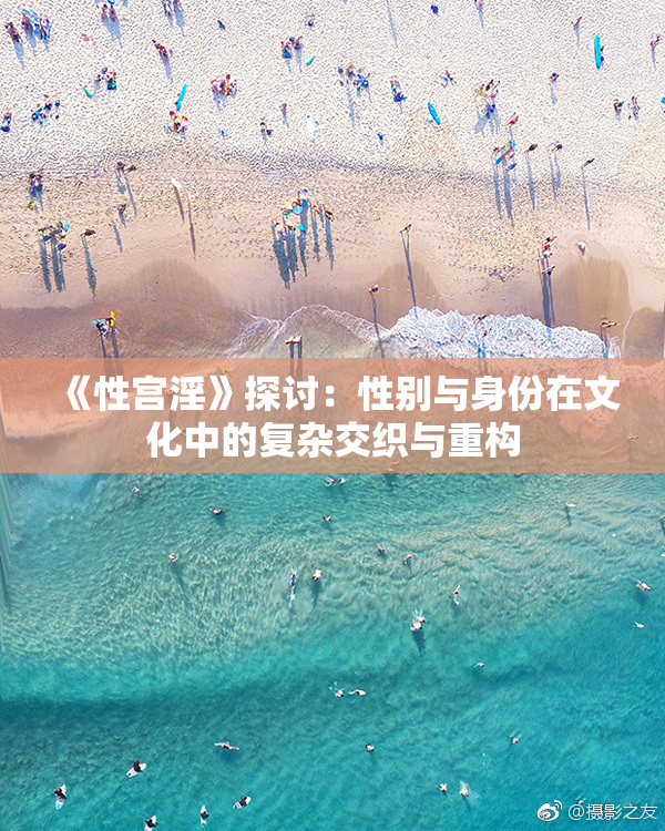 《性宫淫》探讨：性别与身份在文化中的复杂交织与重构