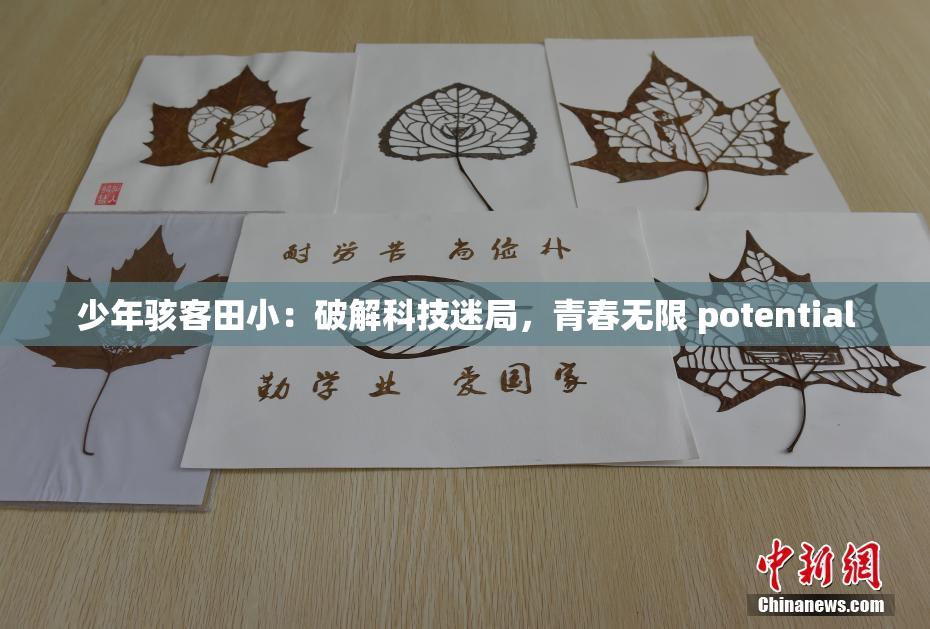 少年骇客田小：破解科技迷局，青春无限 potential