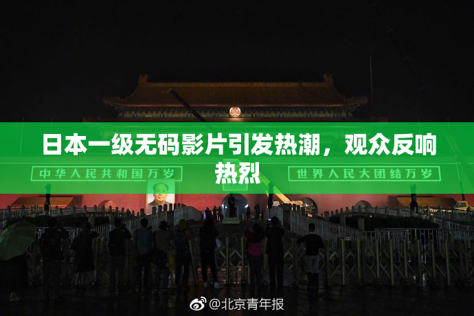 日本一级无码影片引发热潮，观众反响热烈