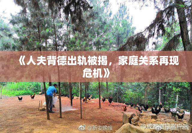 《人夫背德出轨被揭，家庭关系再现危机》