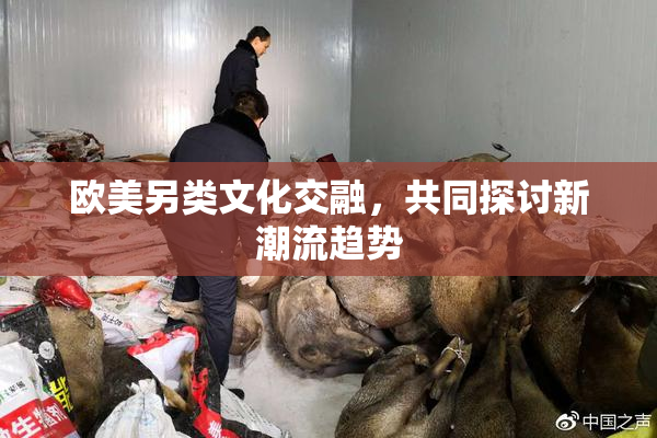 欧美另类文化交融，共同探讨新潮流趋势