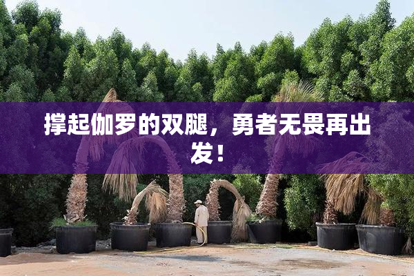 撑起伽罗的双腿，勇者无畏再出发！