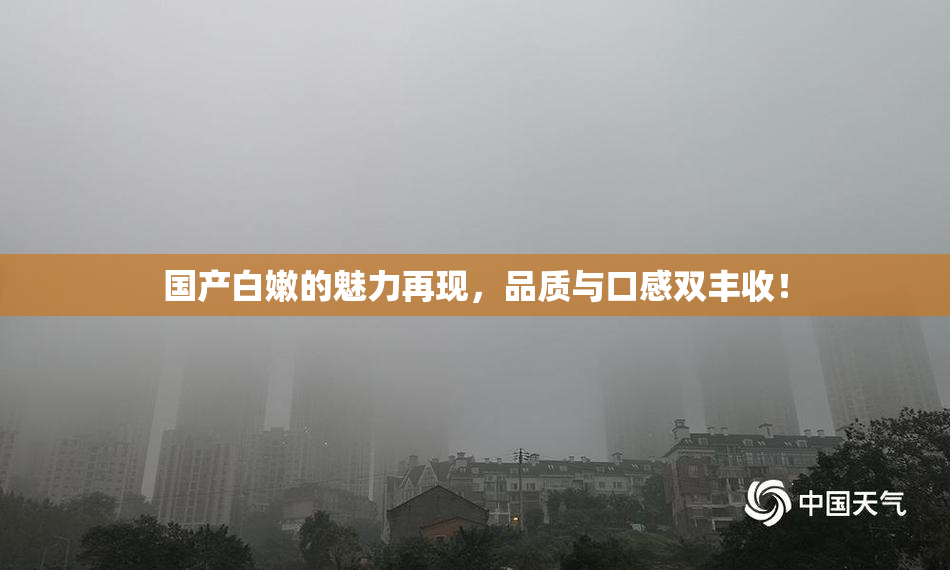 国产白嫩的魅力再现，品质与口感双丰收！
