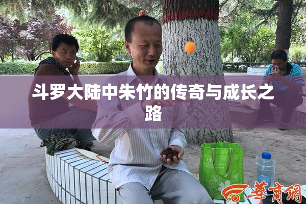 斗罗大陆中朱竹的传奇与成长之路