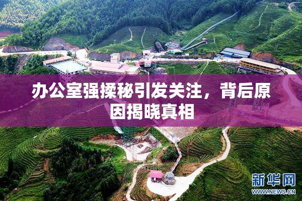 办公室强揉秘引发关注，背后原因揭晓真相