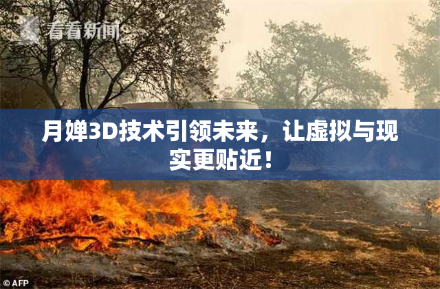 月婵3D技术引领未来，让虚拟与现实更贴近！