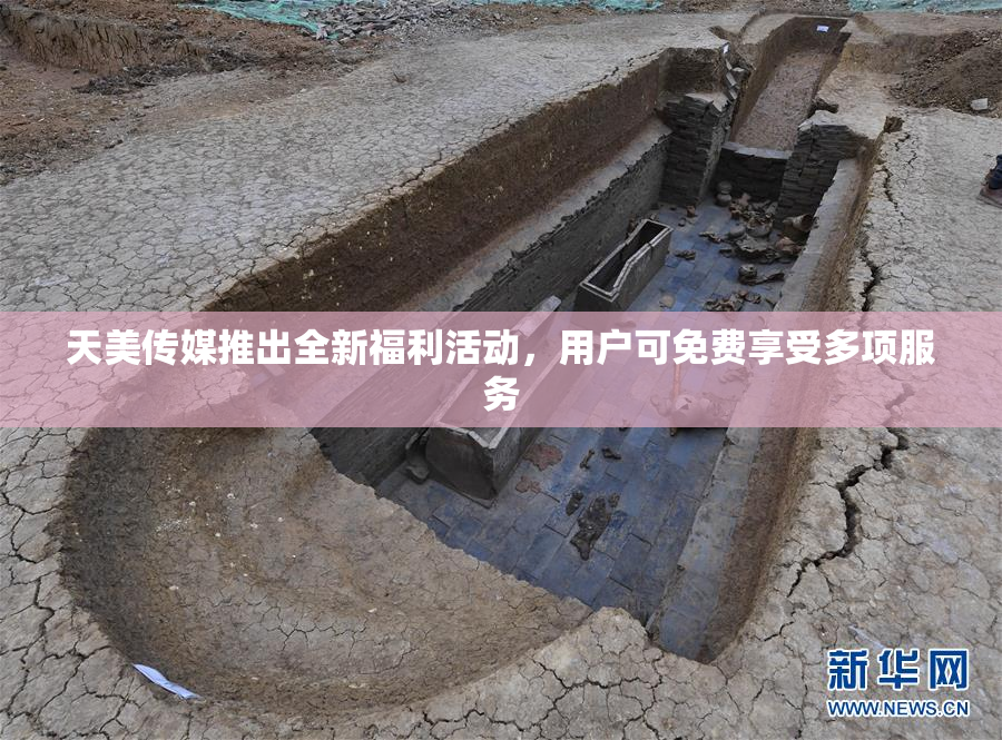 天美传媒推出全新福利活动，用户可免费享受多项服务