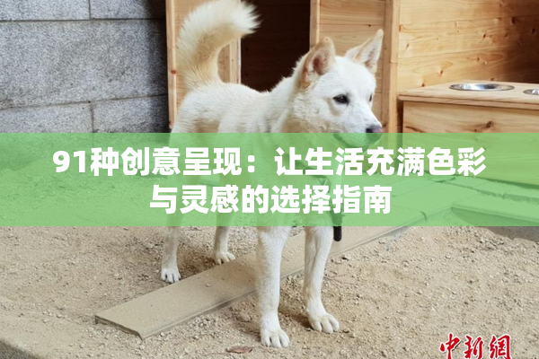 91种创意呈现：让生活充满色彩与灵感的选择指南