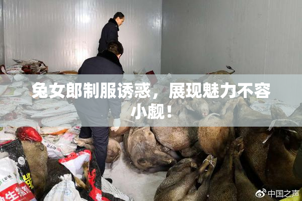 兔女郎制服诱惑，展现魅力不容小觑！