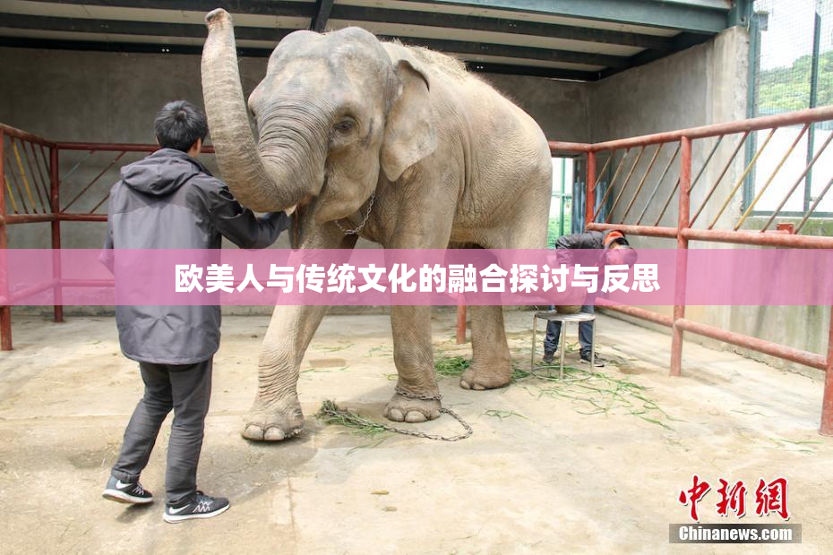 欧美人与传统文化的融合探讨与反思