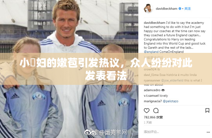 小婬妇的嫩苞引发热议，众人纷纷对此发表看法