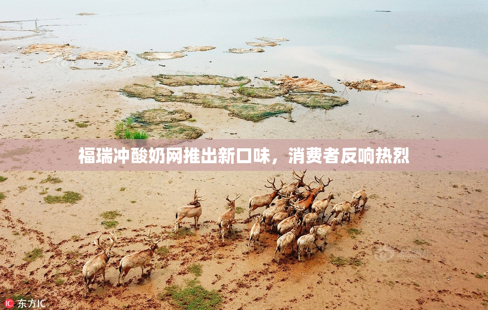 福瑞冲酸奶网推出新口味，消费者反响热烈