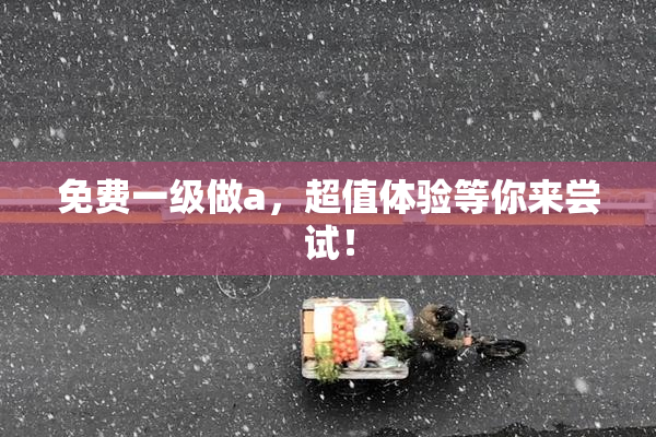 免费一级做a，超值体验等你来尝试！