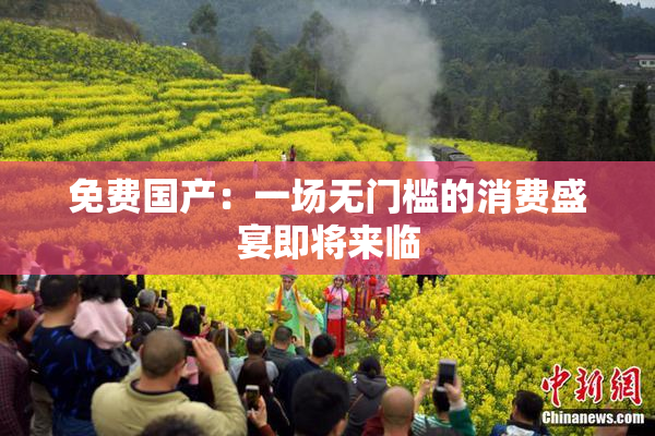 免费国产：一场无门槛的消费盛宴即将来临