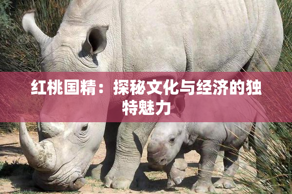 红桃国精：探秘文化与经济的独特魅力
