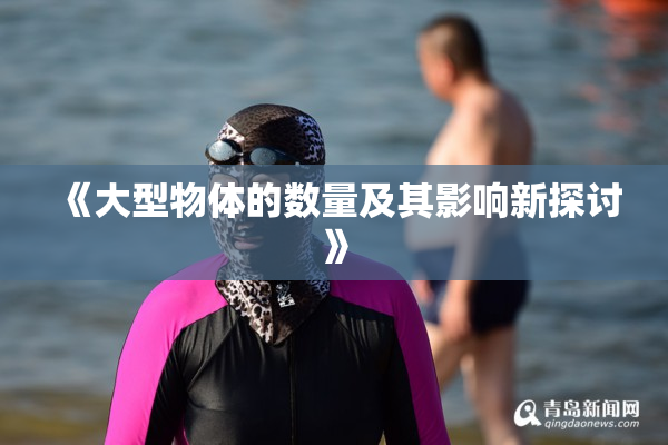 《大型物体的数量及其影响新探讨》