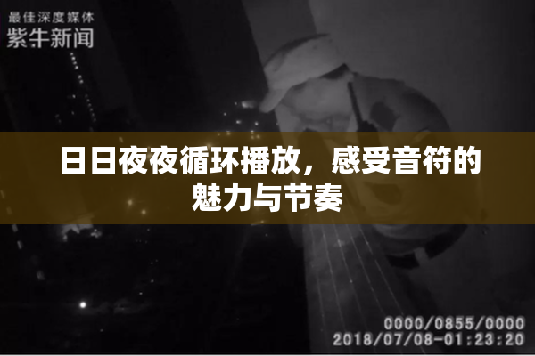 日日夜夜循环播放，感受音符的魅力与节奏