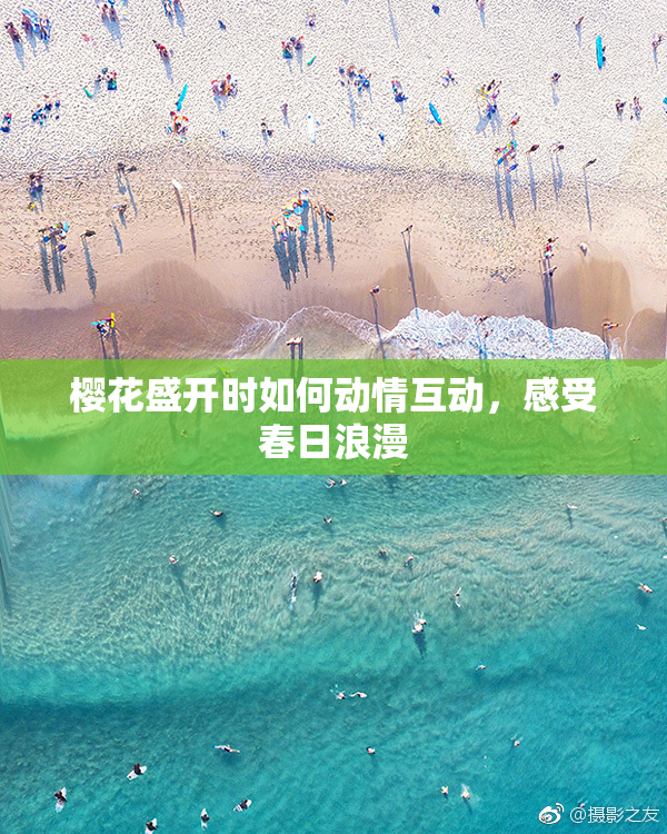 樱花盛开时如何动情互动，感受春日浪漫