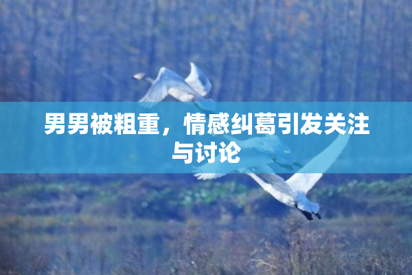 男男被粗重，情感纠葛引发关注与讨论