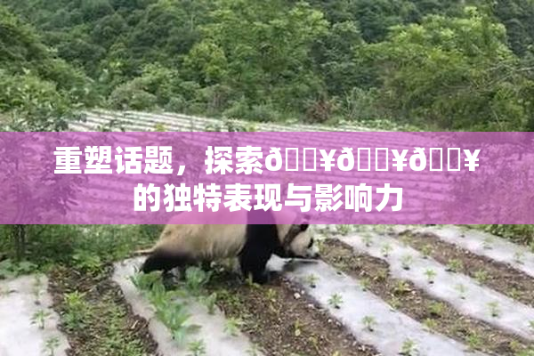 重塑话题，探索🔥🔥🔥的独特表现与影响力