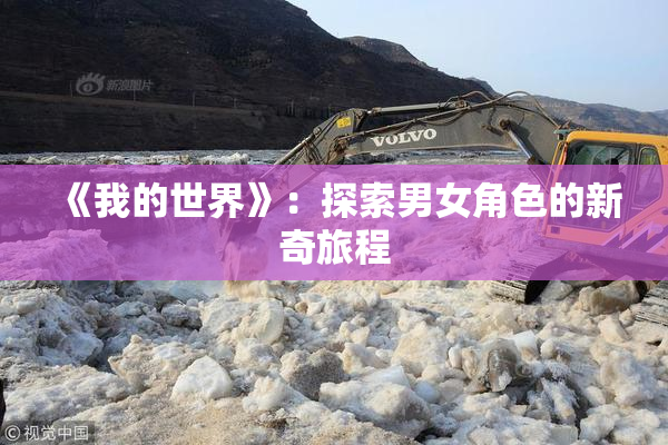 《我的世界》：探索男女角色的新奇旅程