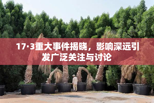 17·3重大事件揭晓，影响深远引发广泛关注与讨论
