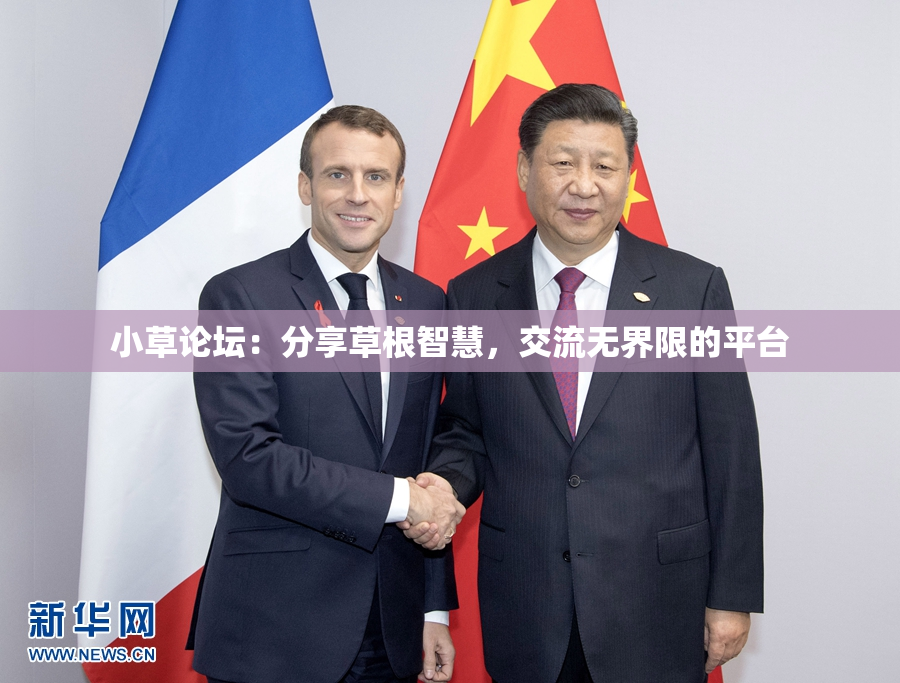 小草论坛：分享草根智慧，交流无界限的平台