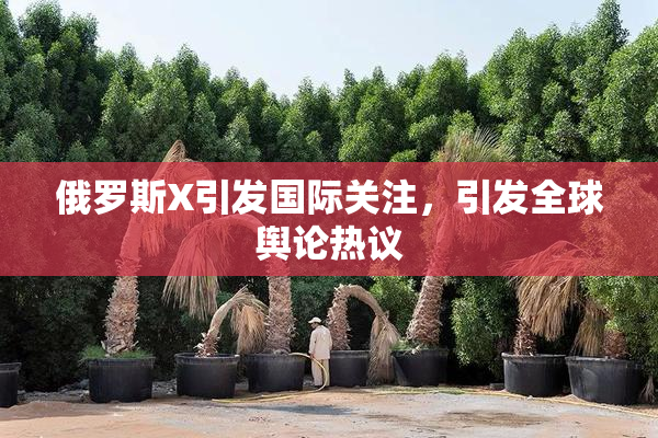 俄罗斯X引发国际关注，引发全球舆论热议