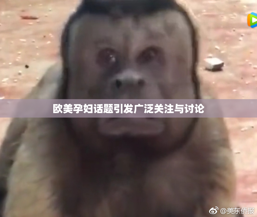 欧美孕妇话题引发广泛关注与讨论
