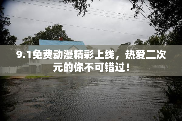 9.1免费动漫精彩上线，热爱二次元的你不可错过！