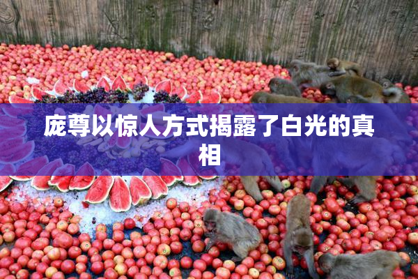 庞尊以惊人方式揭露了白光的真相