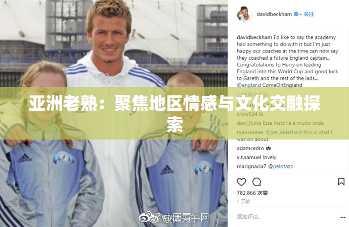 亚洲老熟：聚焦地区情感与文化交融探索
