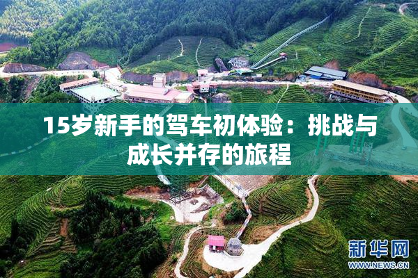 15岁新手的驾车初体验：挑战与成长并存的旅程