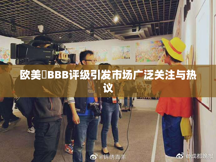欧美槡BBB评级引发市场广泛关注与热议