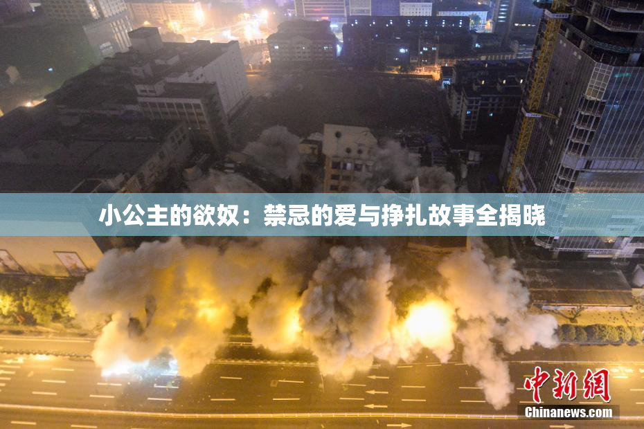 小公主的欲奴：禁忌的爱与挣扎故事全揭晓