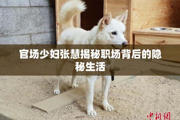 官场少妇张慧揭秘职场背后的隐秘生活