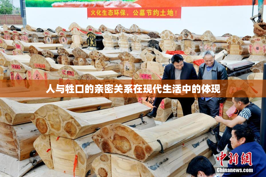 人与牲口的亲密关系在现代生活中的体现