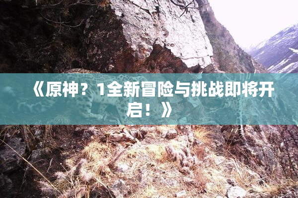 《原神？1全新冒险与挑战即将开启！》