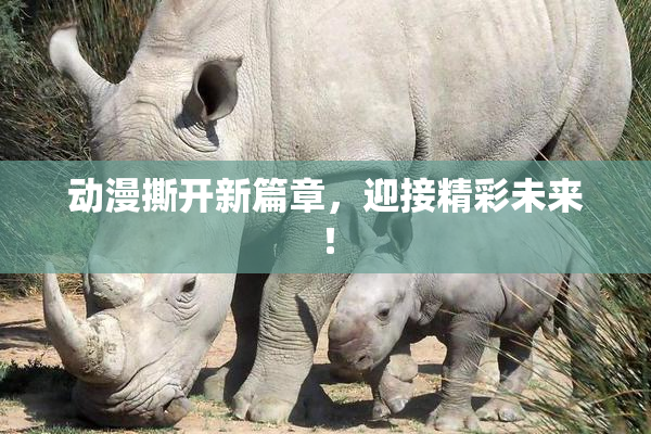 动漫撕开新篇章，迎接精彩未来！