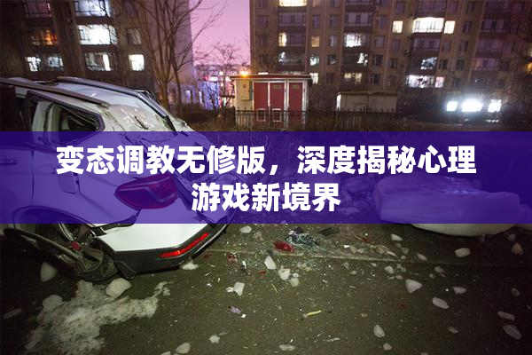 变态调教无修版，深度揭秘心理游戏新境界