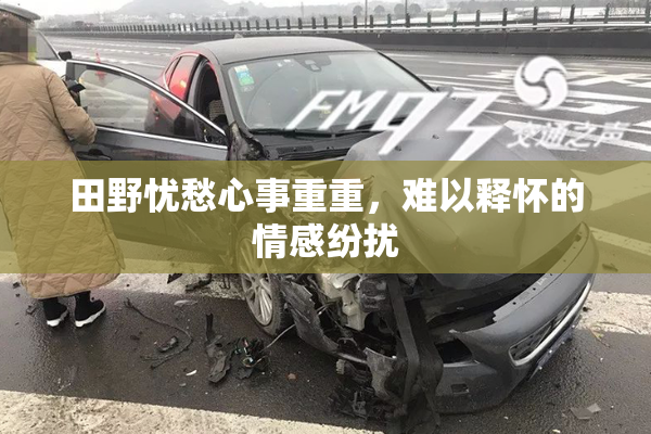 田野忧愁心事重重，难以释怀的情感纷扰