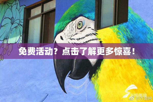 免费活动？点击了解更多惊喜！
