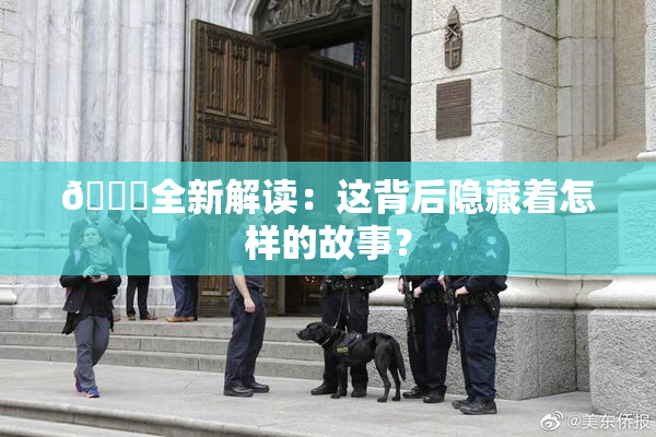 🈚全新解读：这背后隐藏着怎样的故事？