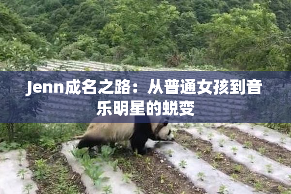 Jenn成名之路：从普通女孩到音乐明星的蜕变