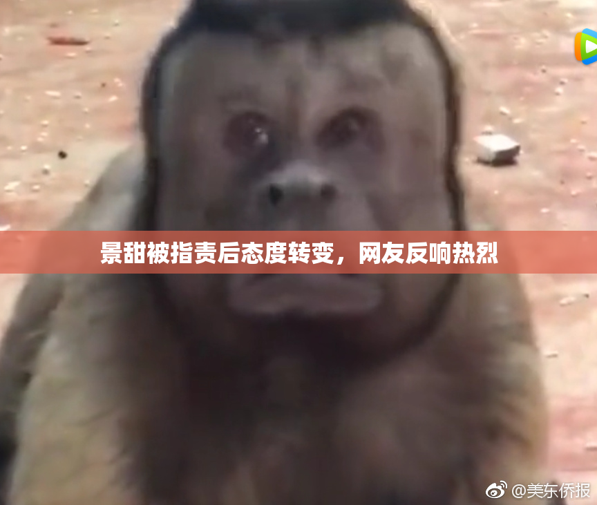 景甜被指责后态度转变，网友反响热烈