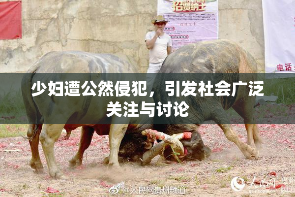 少妇遭公然侵犯，引发社会广泛关注与讨论
