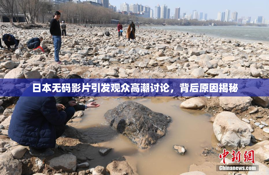 日本无码影片引发观众高潮讨论，背后原因揭秘