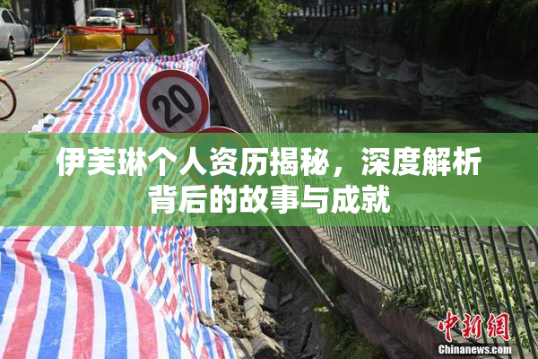 伊芙琳个人资历揭秘，深度解析背后的故事与成就